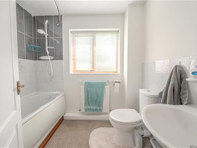 Picture 21